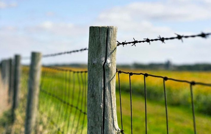 Alambre de púas galvanizado - DIPAC