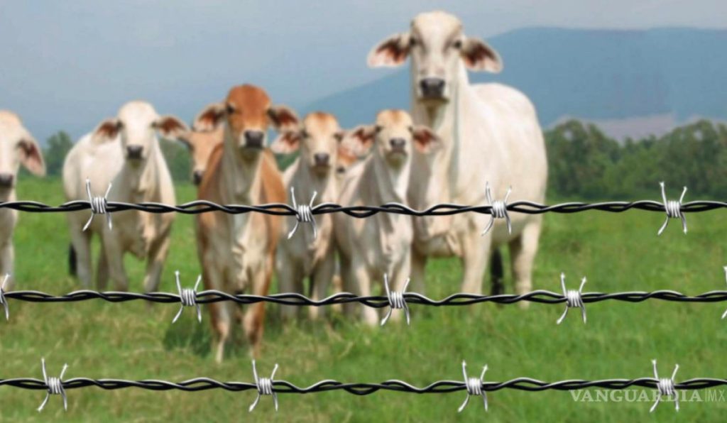 Alambre de púas galvanizado - DIPAC
